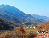 爬山：嵖岈山溫泉小鎮(zhèn)度假酒店,是我市首家五星級度假酒店,各項硬件設施齊全,服務周到入住酒店即送溫泉門票.嵖岈山溫泉小鎮(zhèn)旁邊有座海拔不到200米的花山, ,適合喜歡休閑健身的游客登高游玩。