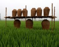 近年來(lái)，留莊鎮(zhèn)以發(fā)展現(xiàn)代生態(tài)農(nóng)業(yè)和鄉(xiāng)村旅游為抓手，以留莊鎮(zhèn)觀光稻田公園、富硒生態(tài)大米等農(nóng)產(chǎn)品為突破，致力于打造一個(gè)以生態(tài)旅游為主的觀光農(nóng)業(yè)，探索走出一條傳統(tǒng)平原農(nóng)業(yè)鄉(xiāng)鎮(zhèn)發(fā)展特色農(nóng)業(yè)的新路子。以產(chǎn)業(yè)扶貧、精準(zhǔn)扶貧帶動(dòng)留莊經(jīng)濟(jì)發(fā)展，為老百姓找到一條脫貧致富的新出路。（攝影記者/武帥）