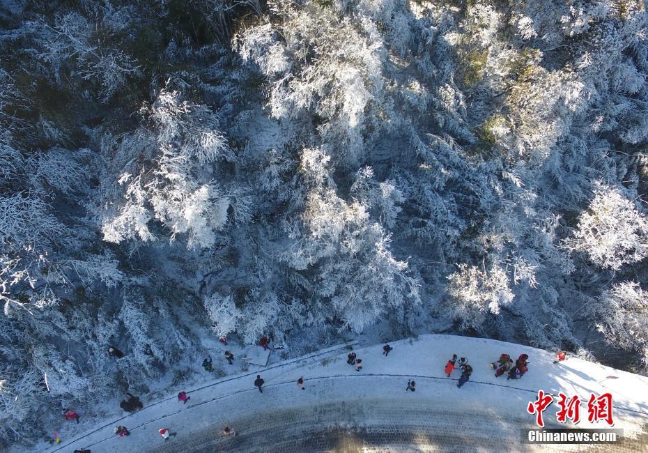 12月20日，重慶金佛山銀裝素裹雪景美如畫，吸引了不少游客前來觀賞。當(dāng)日，第19屆金佛山冰雪節(jié)正式開幕。 陳超 攝