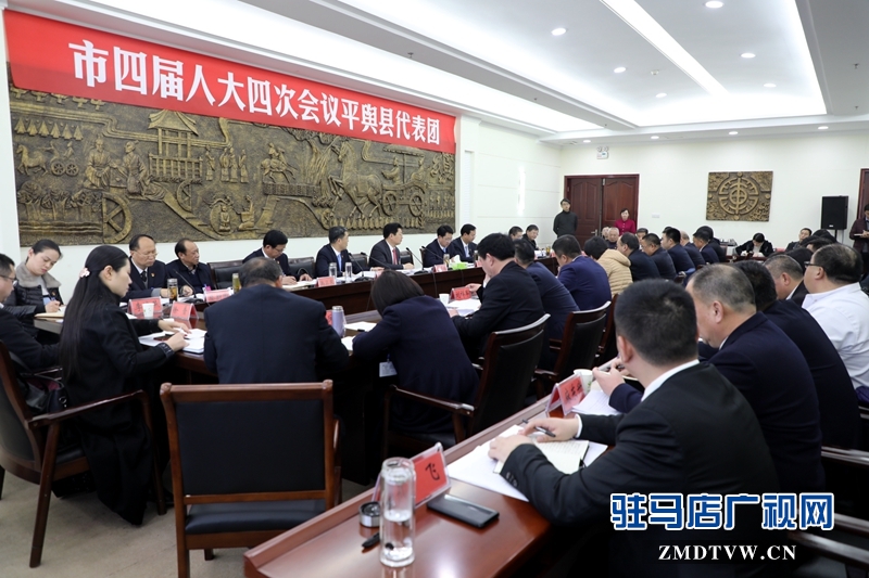 朱是西參加平輿代表團(tuán)的審議政府工作報(bào)告，聆聽(tīng)代表發(fā)言。