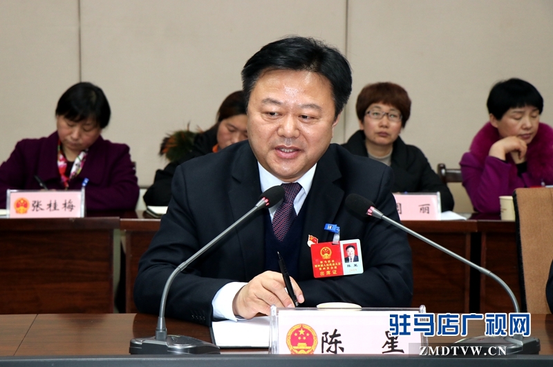 陳星參加上蔡代表團(tuán)的審議政府工作報(bào)告時(shí)發(fā)言。
