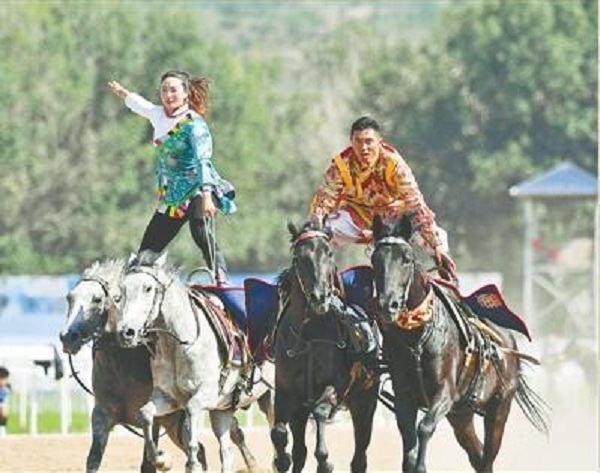 馬背上的“雜技”亮相民族運(yùn)動(dòng)會(huì)