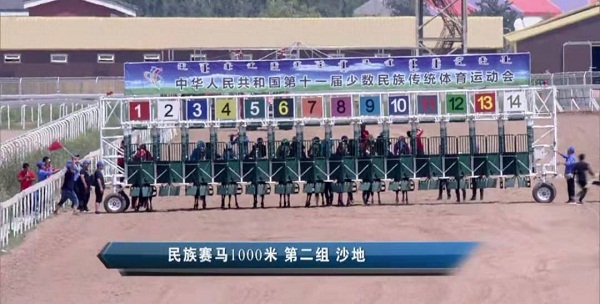 亮馬圈、彩衣、閘廂……記者盤點(diǎn)速度賽馬賽前看點(diǎn)