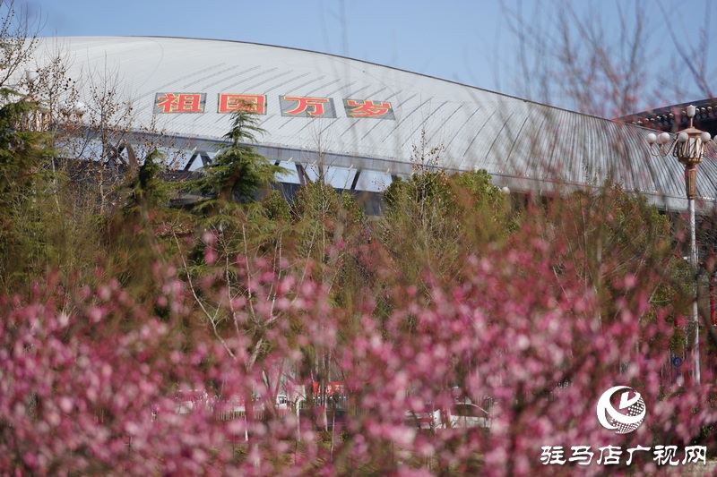 戰(zhàn)疫，熱火朝天