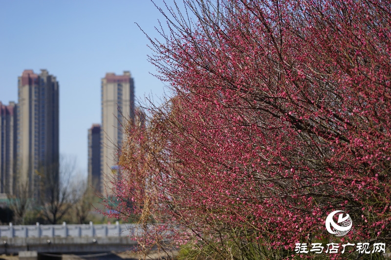 再次與自己約定，閉門不出
