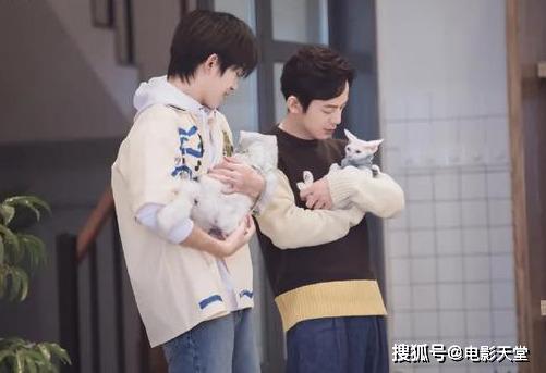 當(dāng)國綜不抄襲，當(dāng)謝娜不聒噪，不撕的國產(chǎn)綜藝看什么？ 