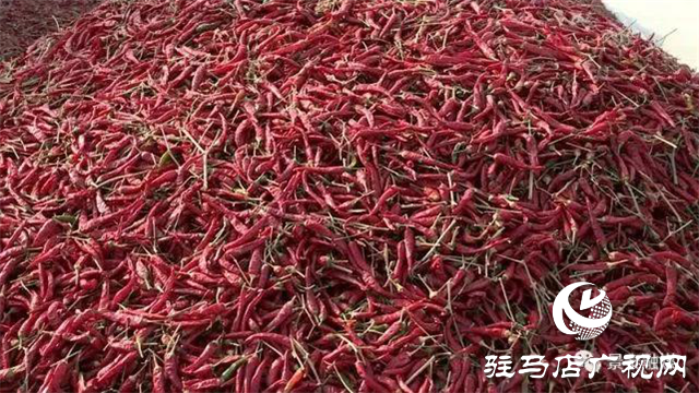 攜手北沃 見證豐收 ——北沃高鈣肥再顯神威，表現(xiàn)驚艷眾人！