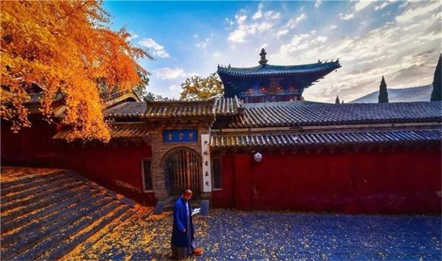 “古剎秋景惹人醉，金色滿園迎賓朋”——嵩山少林寺千年銀杏已到了一年之中最美時(shí)節(jié)！