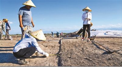 遺址格局逐步清晰，歷史文化內(nèi)涵日益豐富  北庭故城考古發(fā)現(xiàn)不斷深入