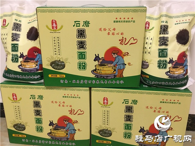 噸源種業(yè)組織召開小麥播種現場會