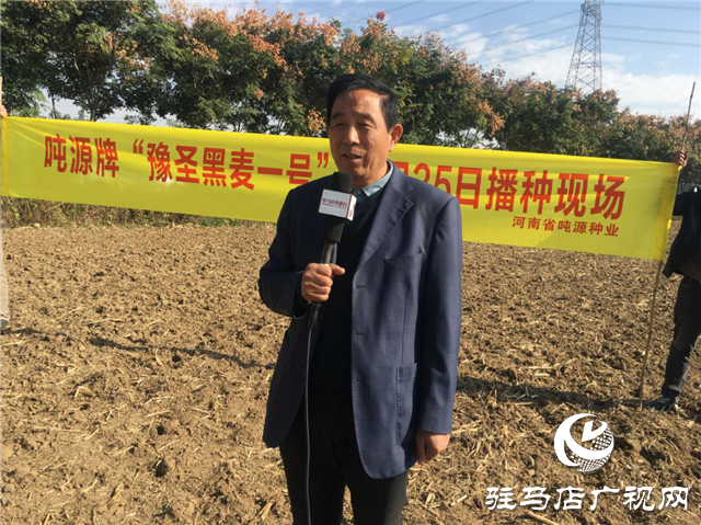 噸源種業(yè)組織召開小麥播種現場會