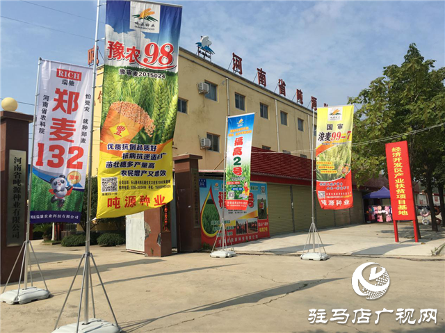 噸源種業(yè)組織召開小麥播種現場會