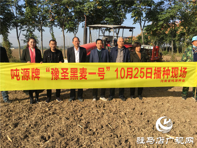 噸源種業(yè)組織召開小麥播種現場會