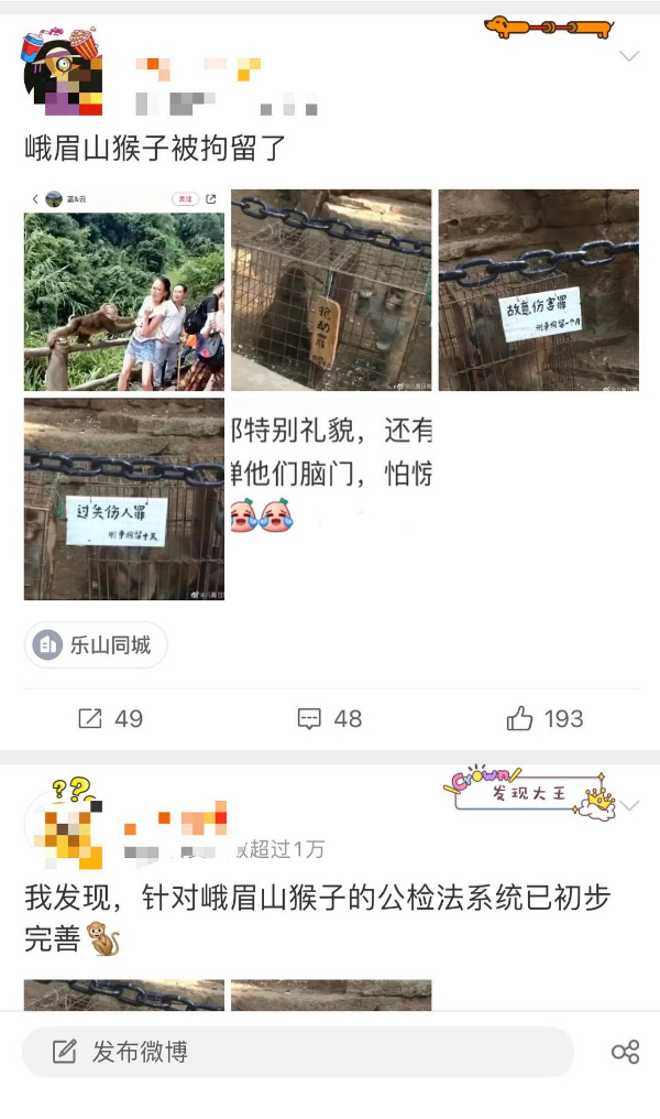 峨眉山猴子被拘留？假的！峨眉山猴子是國家二級保護動物