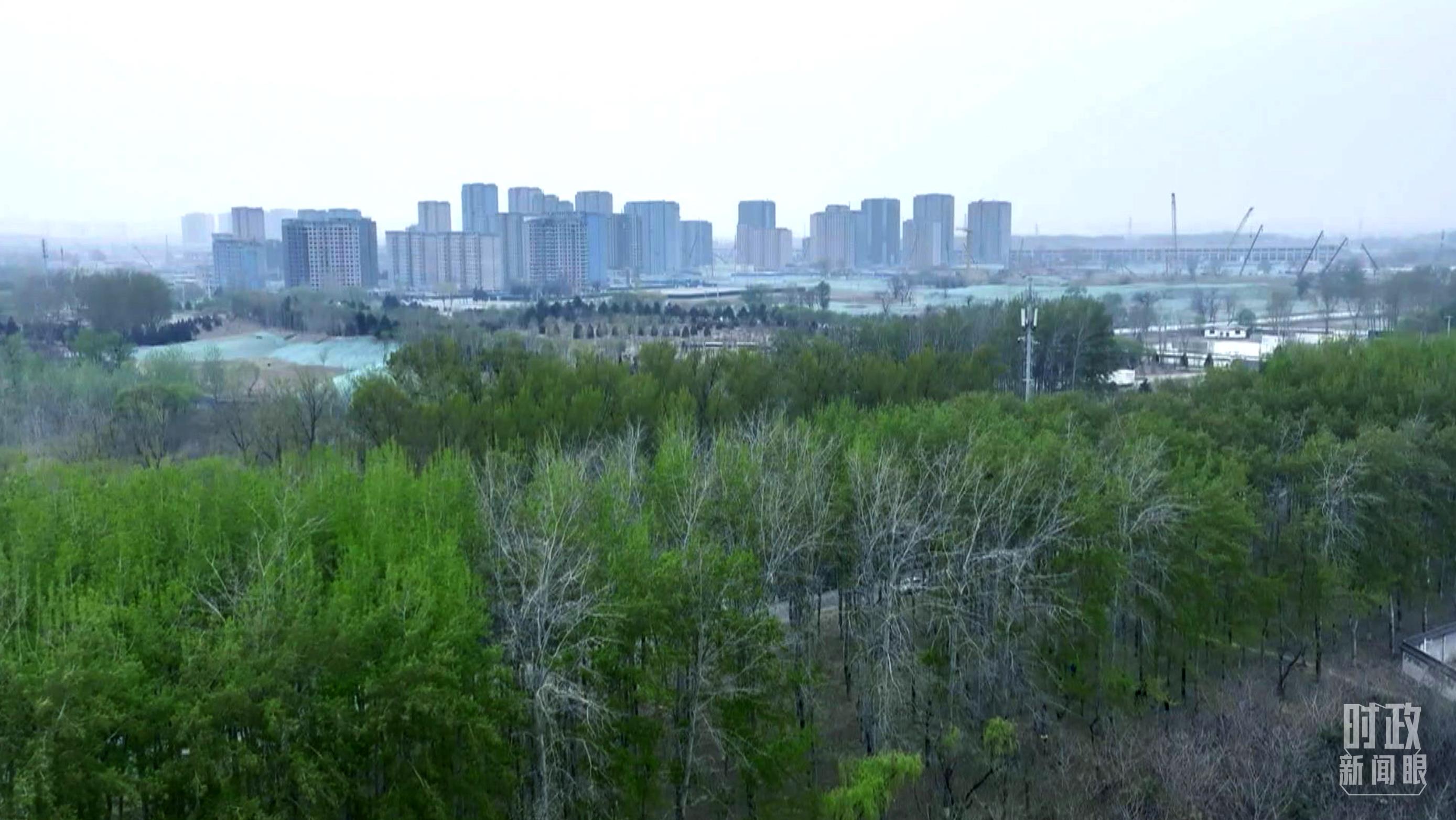 時(shí)政新聞眼丨在今年首都義務(wù)植樹現(xiàn)場，習(xí)近平這三句話飽含深意