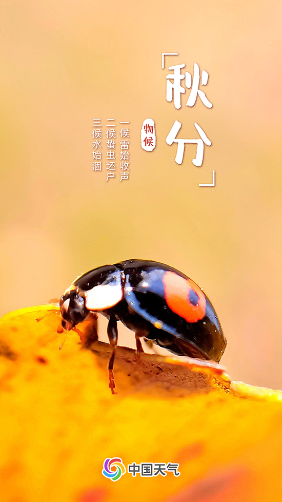 秋分至！又是一年好“豐”景 全國秋收地圖看哪里五谷豐登
