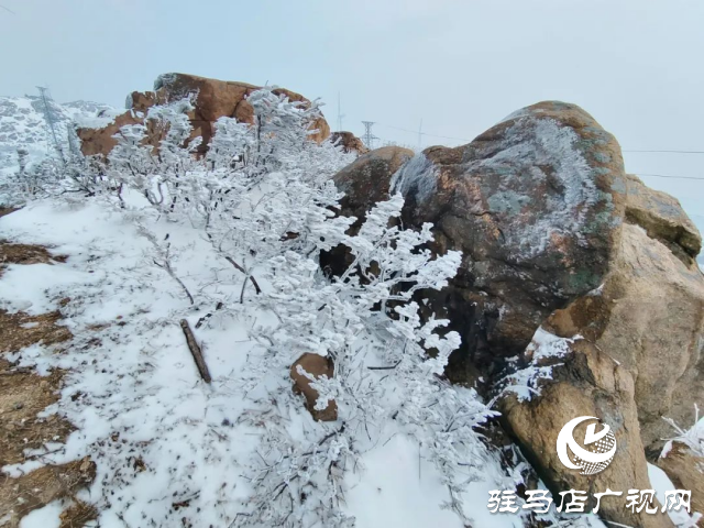 美呆了！羅漢山開啟雪凇、霧凇雙景齊現(xiàn)模式