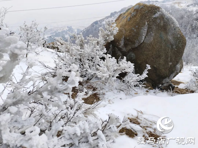 美呆了！羅漢山開啟雪凇、霧凇雙景齊現(xiàn)模式