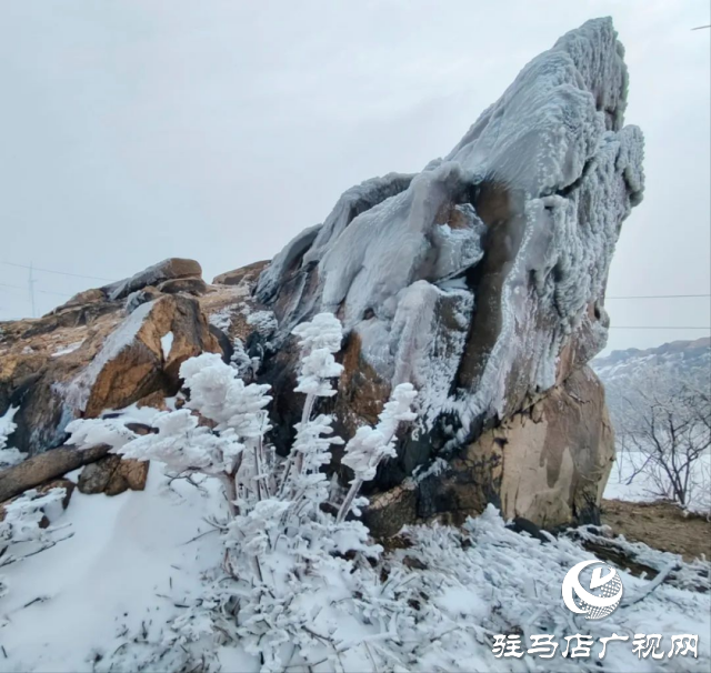美呆了！羅漢山開啟雪凇、霧凇雙景齊現(xiàn)模式