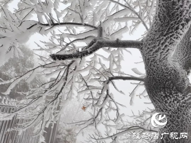 美呆了！羅漢山開啟雪凇、霧凇雙景齊現(xiàn)模式