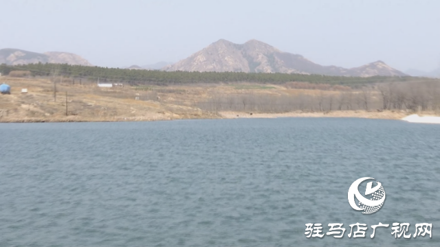 泌陽縣下碑寺鄉(xiāng)：以項目建設促進全鄉(xiāng)經(jīng)濟社會高質(zhì)量發(fā)展