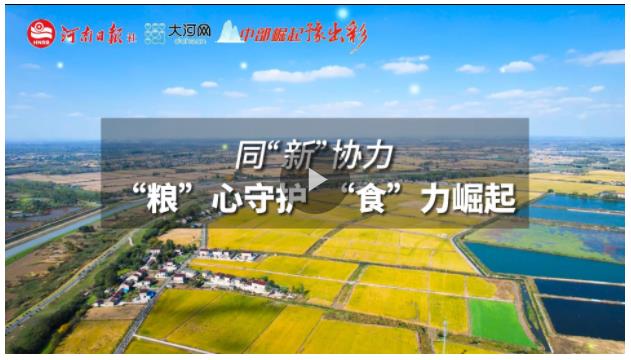 同“新”協(xié)力丨“糧”心守護，“食”力崛起