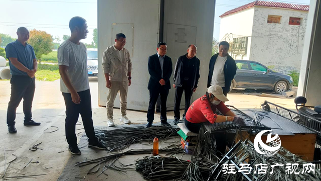 平輿縣十字路鄉(xiāng)：聚力企業(yè)解難題，助力“三園建設(shè)”