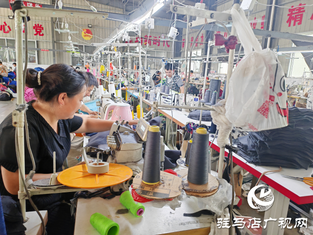 平輿縣辛店鄉(xiāng)黃寨村：以黨建“雙提升”活動為載體推進“三園”建設不斷加速