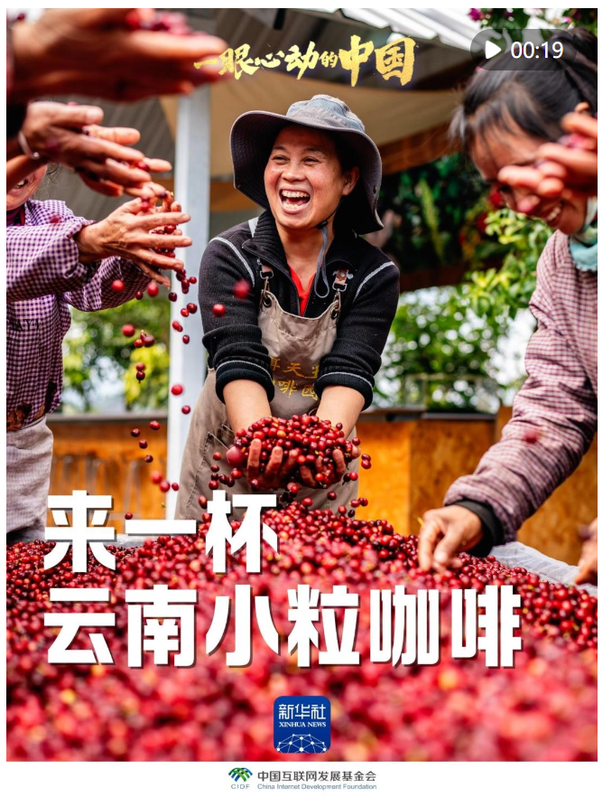 一眼心動(dòng)的中國(guó)｜來(lái)一杯云南小?？Х? width=