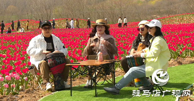 【邀您打卡】3月22日，嵖岈山郁金香園盛大啟幕
