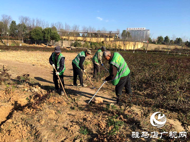 確山縣住建局：春季綠化養(yǎng)護(hù)忙，不負(fù)春景好時(shí)光