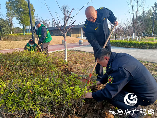 確山縣住建局：春季綠化養(yǎng)護(hù)忙，不負(fù)春景好時(shí)光