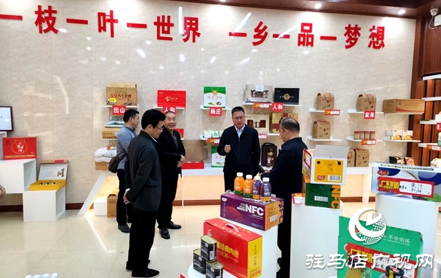  西平縣開展文化賦能產業(yè)振興走訪調研活動