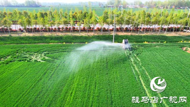 正陽縣：科技春管護麥長 精準(zhǔn)滴灌保豐年