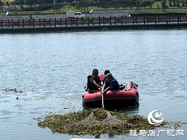 守護(hù)一城碧水！確山縣住建局清淤除草保河暢水清
