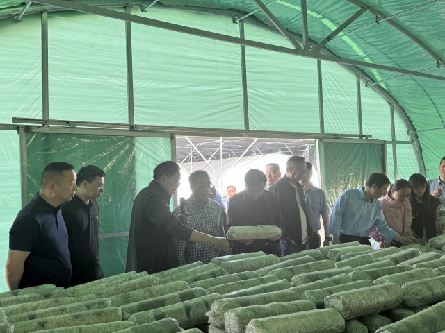 國家食用菌產(chǎn)業(yè)技術(shù)體系栽培與基質(zhì)研究室交流會(huì)在我市召開