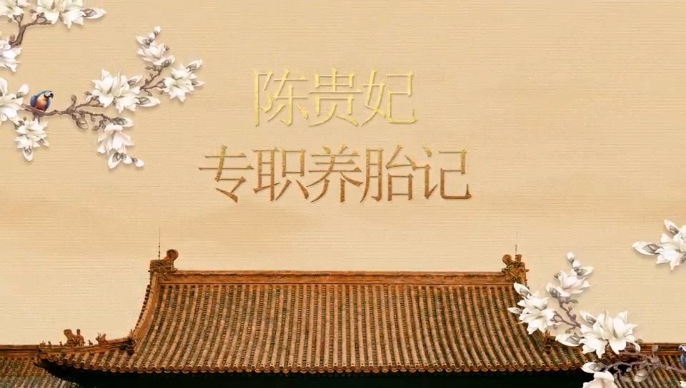 駐馬店市中醫(yī)院：《陳貴妃專(zhuān)職養(yǎng)胎記》