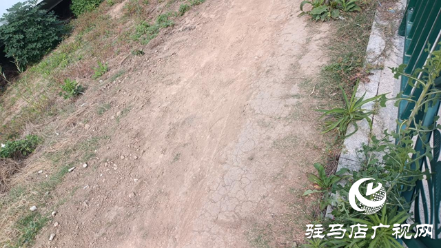 市民騎電動(dòng)車(chē)擠圍欄缺口存隱患 駐馬店人民公園管理方將封堵