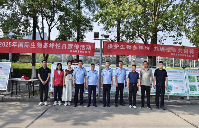 駐馬店市林業(yè)局開展2025年度“國際生物多樣性日”主題宣傳活動(dòng)  2025年5月22日是第25個(gè)國際生物多樣性日，今年的國際生物多樣性日的主題為“萬物共生 和諧永續(xù)”，呼吁社會(huì)各界主動(dòng)參與生物多樣性保護(hù)，共建萬物和諧的美麗家園。  5月21日上午，市林業(yè)局與市生態(tài)環(huán)境局、市驛城區(qū)生態(tài)環(huán)境分局、高新區(qū)環(huán)保辦和示范區(qū)環(huán)保辦聯(lián)合在天中廣場開展了內(nèi)容豐富的國際生物多樣性日主題宣傳活動(dòng)?；顒?dòng)現(xiàn)場，工作人員通過布置主題展板、懸掛宣傳橫幅、發(fā)放科普手冊(cè)等方式，吸引了眾多市民駐足觀看，營造出濃厚的宣傳氛圍，切實(shí)提高了公眾對(duì)生物多樣性保護(hù)的認(rèn)知度和參與度，也激發(fā)了更多人參與生物多樣性保護(hù)行動(dòng)的熱情和動(dòng)力，讓“尊重自然、順應(yīng)自然、保護(hù)自然”的生態(tài)文明理念更加深入人心。  通過這次宣傳活動(dòng)，人們更加深入地了解了生物多樣性的重要性和保護(hù)生物多樣性的緊迫性。下一步，駐馬店市林業(yè)局將繼續(xù)以生物多樣性保護(hù)為重點(diǎn)，開展形式多樣的主題宣傳活動(dòng)，同時(shí)加大生態(tài)保護(hù)力度，與廣大市民攜手共建萬物和諧的生態(tài)家園。