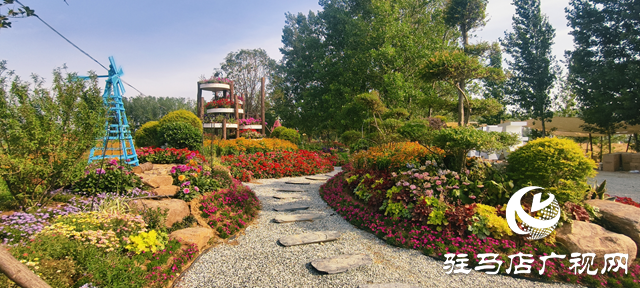 駐馬店驛城區(qū)魏莊村：百畝花?？楀\繡 文旅新篇引客來