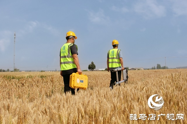 駐馬店移動西平分公司開展機(jī)房巡檢 全力保障通信網(wǎng)絡(luò)穩(wěn)定運行