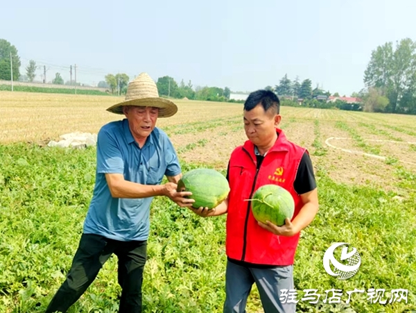 情系瓜農(nóng)解急難 愛(ài)心助銷人心暖
