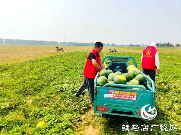 情系瓜農(nóng)解急難 愛(ài)心助銷人心暖