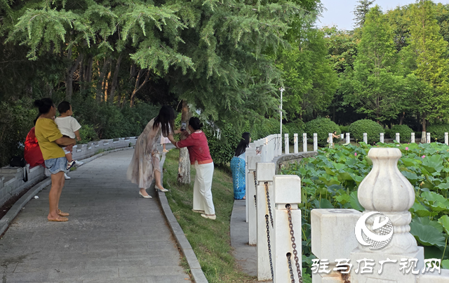 避暑首選！練江湖 置地公園為駐馬店市民送清涼