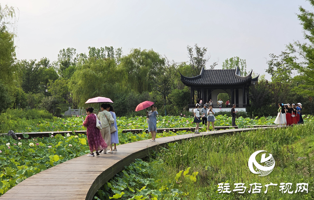 避暑首選！練江湖 置地公園為駐馬店市民送清涼