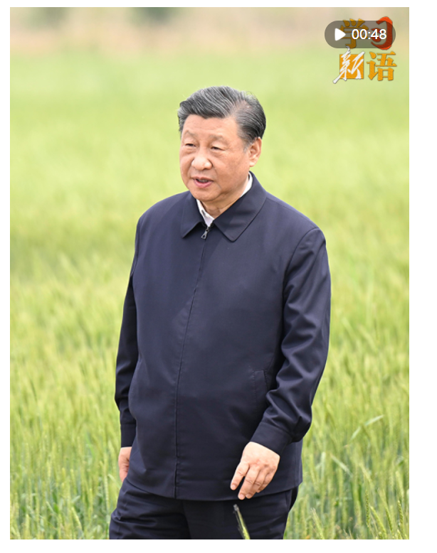 學習新語｜“耕地是糧食生產(chǎn)的命根子”