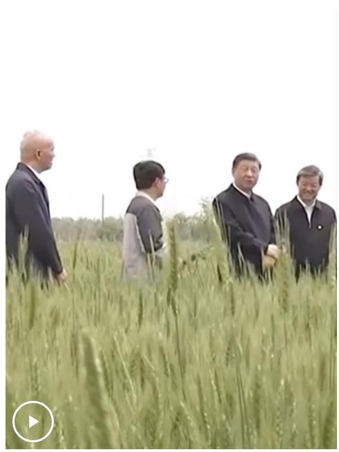 時(shí)習(xí)之丨采取“長牙齒”的硬措施保護(hù)耕地