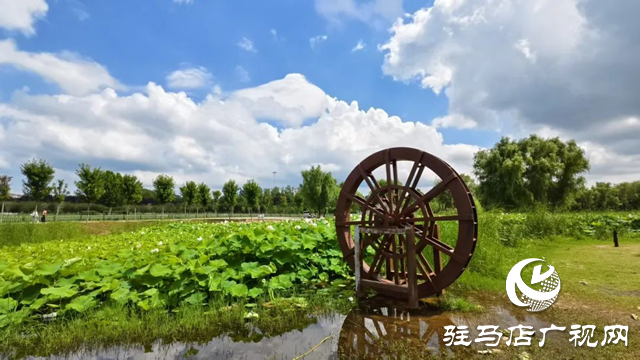 【大美天中】泌陽(yáng)現(xiàn)“水晶天”！漢風(fēng)古韻與湖光云影同框