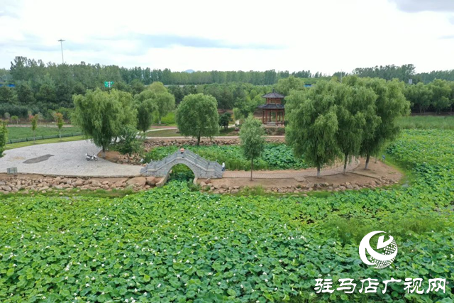 【大美天中】泌陽(yáng)現(xiàn)“水晶天”！漢風(fēng)古韻與湖光云影同框