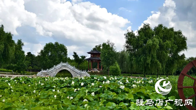【大美天中】泌陽(yáng)現(xiàn)“水晶天”！漢風(fēng)古韻與湖光云影同框
